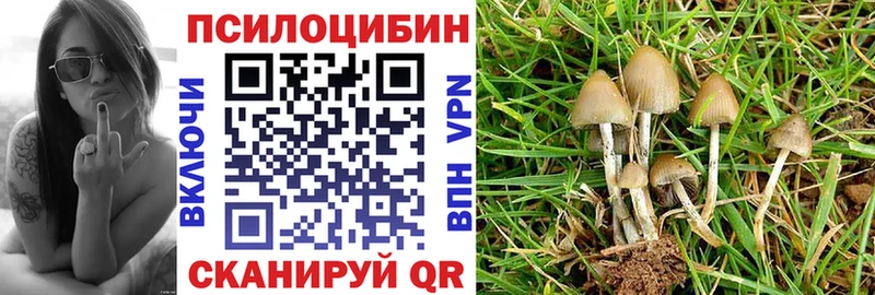 Псилоцибиновые грибы мухоморы Поронайск